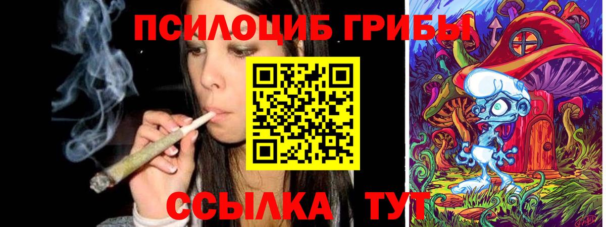 Калач-на-Дону  где купить   Галлюциногенные грибы Psilocybine cubensis  Вход с VPN  Псилоцибиновые грибы Psilocybe 